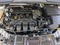 2015 Ford Focus 5dr HB SE