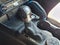 2024 Ford Bronco Black Diamond 4 Door 4x4