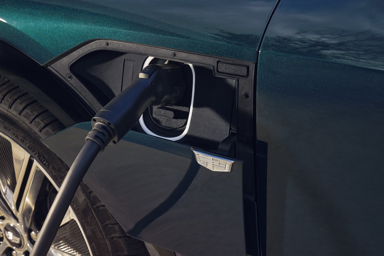 AutoNation Cadillac Corpus Christi in Corpus Christi TX