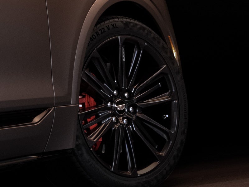 AutoNation Cadillac Corpus Christi in Corpus Christi TX