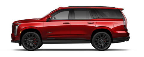 AutoNation Cadillac Corpus Christi in Corpus Christi TX